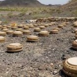 مشروع مسام لنزع الألغام يعلن انتزاع أكثر   من 2٫800 مادة متفجرة منذ مطلع يوليو الجاري