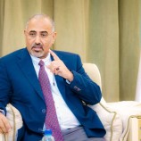 صحيفة دولية “حلّ الدولتين” يطفو على السطح مع تقدم محادثات السلام في اليمن