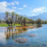 كهرباء 24 ساعة.. دعم إماراتي لتشغيل 6 محطات جديدة بسقطرى