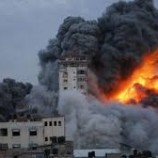 «ستار لينك فور غزة».. دعوات على المنصات لفتح إنترنت لأهالي القطاع تتصدر التريند