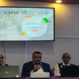 برعاية السقطري..تدشين ورشة مشروع استجابة الأمن الغذائي