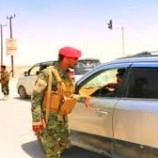 شبوة..الأجهزة الأمنية تلقي القبض على فارين من السجن المركزي