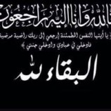 الرئيس الزُبيدي يُعزَّي في وفاة الشاعر الكبير عبدربه بن عوض القميشي