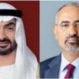 الرئيس الزُبيدي يعزي رئيس الإمارات بوفاة عمه