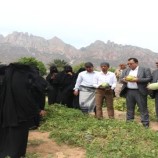 الوزير السقطري يطلع على بيوت المحمية الزراعية في سقطرى