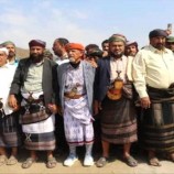 يافع ..صلح قبلي ينهي قضية ثأر استمرت ثمان سنوات