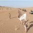 قوات العمالقة الجنوبية تنفذ مسيرًا عسكريًّا جديدًا لتعزيز الجاهزية القتالية