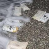 حضرموت.. خفر السواحل يُحبط محاولة تهريب 10 كيلوغرامات من الحشيش