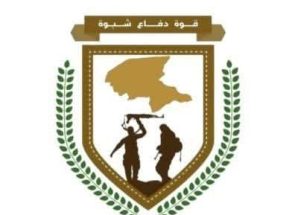 قوات دفاع شبوة تتمكن من الاطاحة بقيادات بارزة في تنظيم القاعدة الإرهابي 