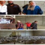 نيابة الصناعة بالعاصمة عدن تتلف نحو 50 ألف عبوة شراب لاحتوائها على مادة محظورة