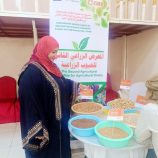 أبين.. مؤسسة إنسان التنموية HDF تعزز السيادة الغذائية في معرض الحبوب 
