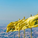 امريكا  تعلن عن مكافأة مالية كبيرة مقابل معلومات عن “حزب الله”