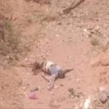 جريمة غامضة.. العثور على جثة نصف متحللة بمديرية الشمايتين جنوب تعز اليمنية