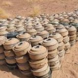 “مسام” يعلن نزع 3699 لغماً وذخيرة غير منفجرة منذ بداية الشهر الجاري