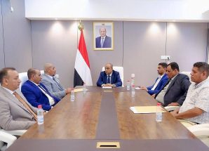 رئيس الوزراء يلتقي محافظ سقطرى ويؤكد دعم الحكومة لجهود السلطة المحلية