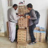 توجيهات بتكثيف الرقابة على الزبادي في مديرية عتق .. وإتلاف طن من المنتجات الفاسدة