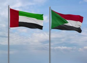 الخارجية الإماراتية تنفي بشكل قاطع مشاركتها في حرب السودان