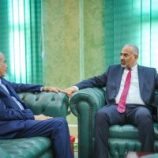 الرئيس الزُبيدي يُناقش مع الفريق الصبيحي تطورات الأوضاع العسكرية والأمنية في المحافظات المحررة