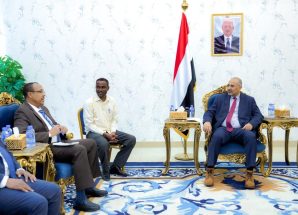 الرئيس الزُبيدي يُحذر من تنامي التخادم بين مليشيا الحوثي وحركة الشباب الصومالية وتنظيم القاعدة