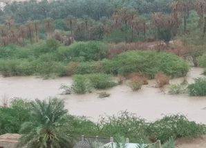 الدفاع المدني يحذّر من مخاطر السيول في وادي حضرموت