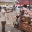 مدير عام المنصورة: حريصون على إزالة المظاهر المشوهة وتنظيم الشوارع العامة