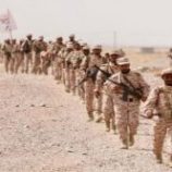 قوات العمالقة تنظم مسيراً عسكرياً احتفاء بالمتخرجين من دورات التجهيز القتالي