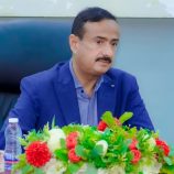 المحافظ بن الوزير يبحث مع المدير القُطري لأطباء بلا حدود تدخلات المنظمة في شبوة