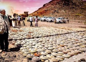 مسام ينزع 968 لغماً وذخيرة غير متفجرة من مخلفات الحوثي