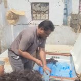 سلطة المنصورة تكثف حملاتها التفتيشية بضبط ومصادرة عبوات المياه مجهولة المصدر زى ى ملطص