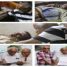 السلطة المحلية تدشن البرنامج الاسبوعي لتكريم الشخصيات الوطنية والابداعية بالعاصمة عدن