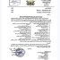 وثيقة تكشف حجم البسط المسلح على مؤسسات الدولة في تعز اليمنية