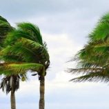 الأرصاد تحذر من اضطراب البحر والأمطار الرعدية على سقطرى والسواحل