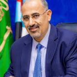 الرئيس الزُبيدي يثمّن دعم المملكة لموازنة بلادنا بمليار و380 مليون ريال سعودي