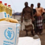 برنامج الأغذية العالمي: عملياتنا متوقفة في مناطق سيطرة مليشيات الحوثي