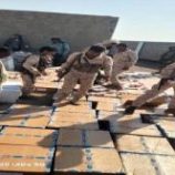 الحملة الأمنية بالصبيحة تحبط تهريب مليون وثمانين ألف حبة مخدرة