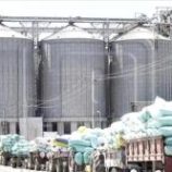 مطاحن البحر الأحمر تعلن التوقف الكامل عقب النفاد الكلي لمخزون القمح