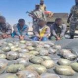 حزام الساحل يضبط قارب يحمل 139 كيسا من الحبوب المخدرة بسواحل أبين