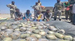 حزام الساحل يضبط قارب يحمل 139 كيسا من الحبوب المخدرة بسواحل أبين