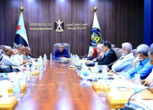 الهيئة الاقتصادية والخدمية تناقش الاتجاهات العامة لرؤية اقتصادية شاملة للجنوب