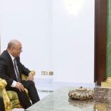 الرئيس الجيبوتي يستقبل وزير التخطيط والتعاون الدولي