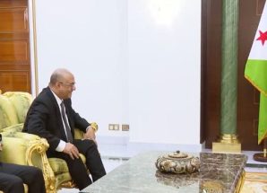 الرئيس الجيبوتي يستقبل وزير التخطيط والتعاون الدولي