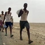 تقرير أممي: 18 ألف مهاجر أفريقي دخلوا اليمن خلال شهر أكتوبر