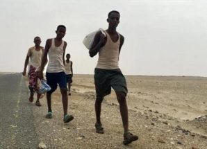 تقرير أممي: 18 ألف مهاجر أفريقي دخلوا اليمن خلال شهر أكتوبر