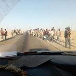 شبوة .. تدفق أعداد كبيرة من النازحين الغير شرعيين