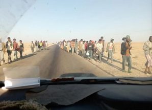 شبوة .. تدفق أعداد كبيرة من النازحين الغير شرعيين