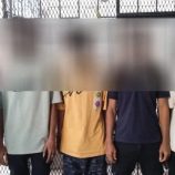 أمن العاصمة عدن يلقي القبض على 5 متهمين بحوزتهم حشيش وحبوب مخدرة.