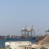 اقتصاد الحركة التجارية من الموارد البحرية في العاصمة عدن.. رافد أساسي لنشاط الثروة العامة ومعيشة المواطنين