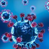 انتشار وباء قاتل في إثيوبيا ومخاوف من انتقاله إلى اليمن