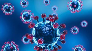 انتشار وباء قاتل في إثيوبيا ومخاوف من انتقاله إلى اليمن