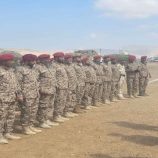 العميد نصر اليافعي يتفقد الجاهزية القتالية للواء الرابع دعم وإسناد